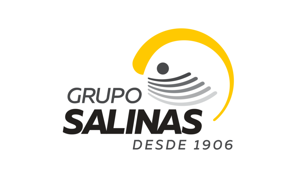 grupo salinas